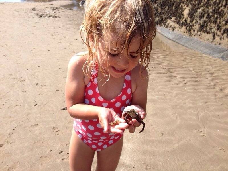 Black Rock Sands If you are thinking of traveling to Abersoch or Pwhelli this summer, here are 5 Free Days Out for Kids Near Abersoch to consider.