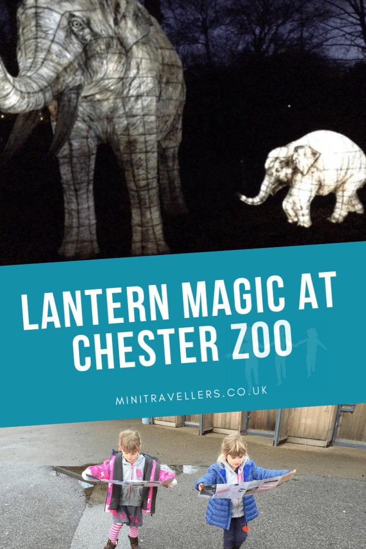 Lantern Magic At Chester Zoo