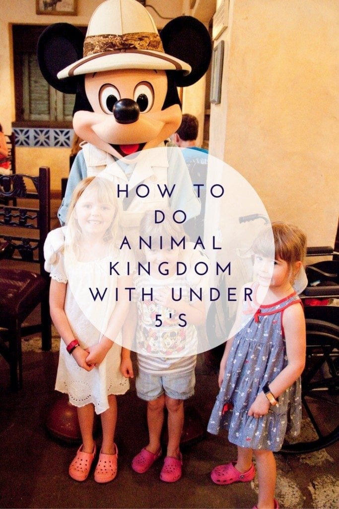 How to do Animal Kingdom with Under 5's