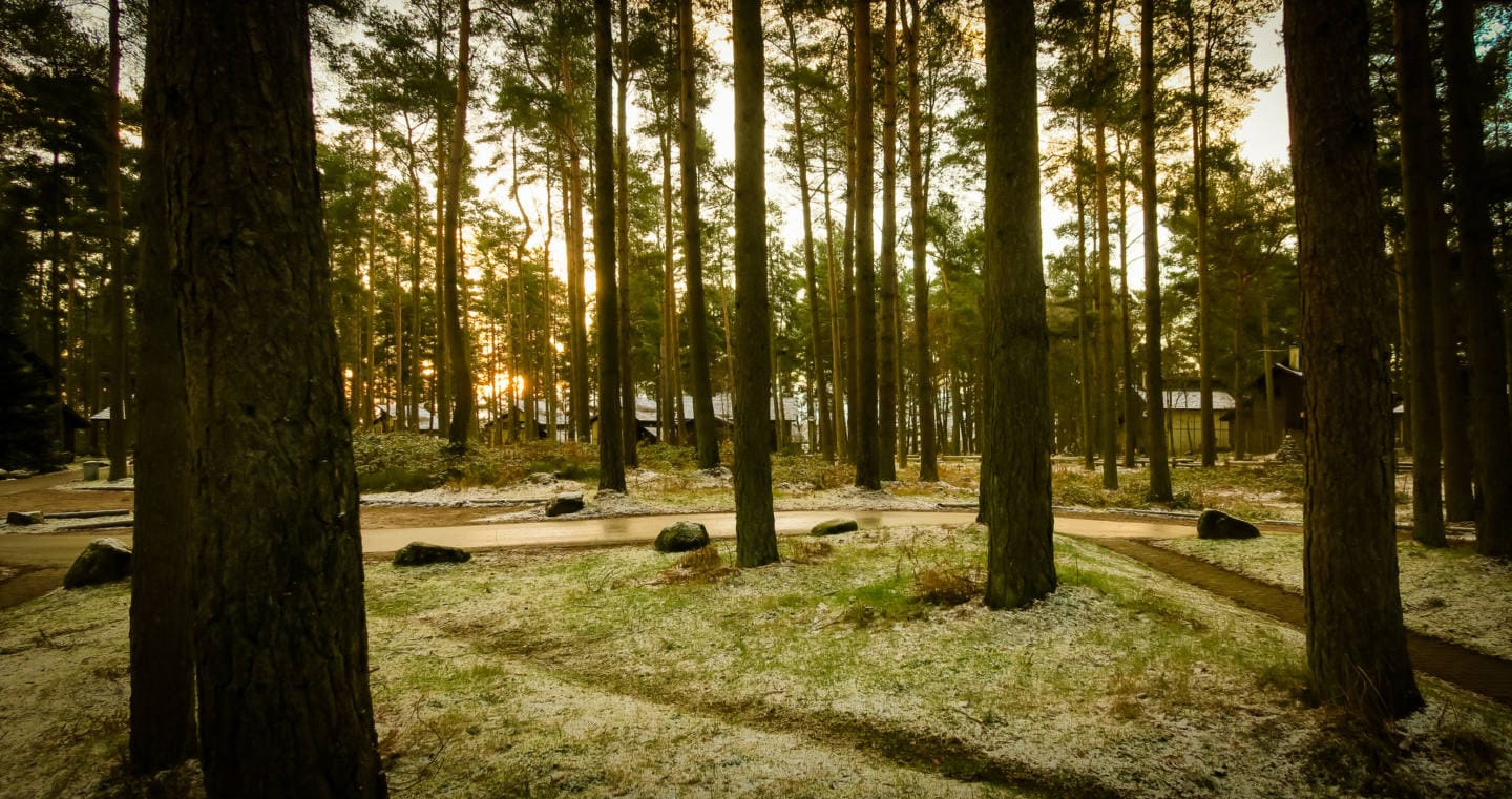 Which month is the best month to go to Center Parcs? www.minitravellers.co.uk