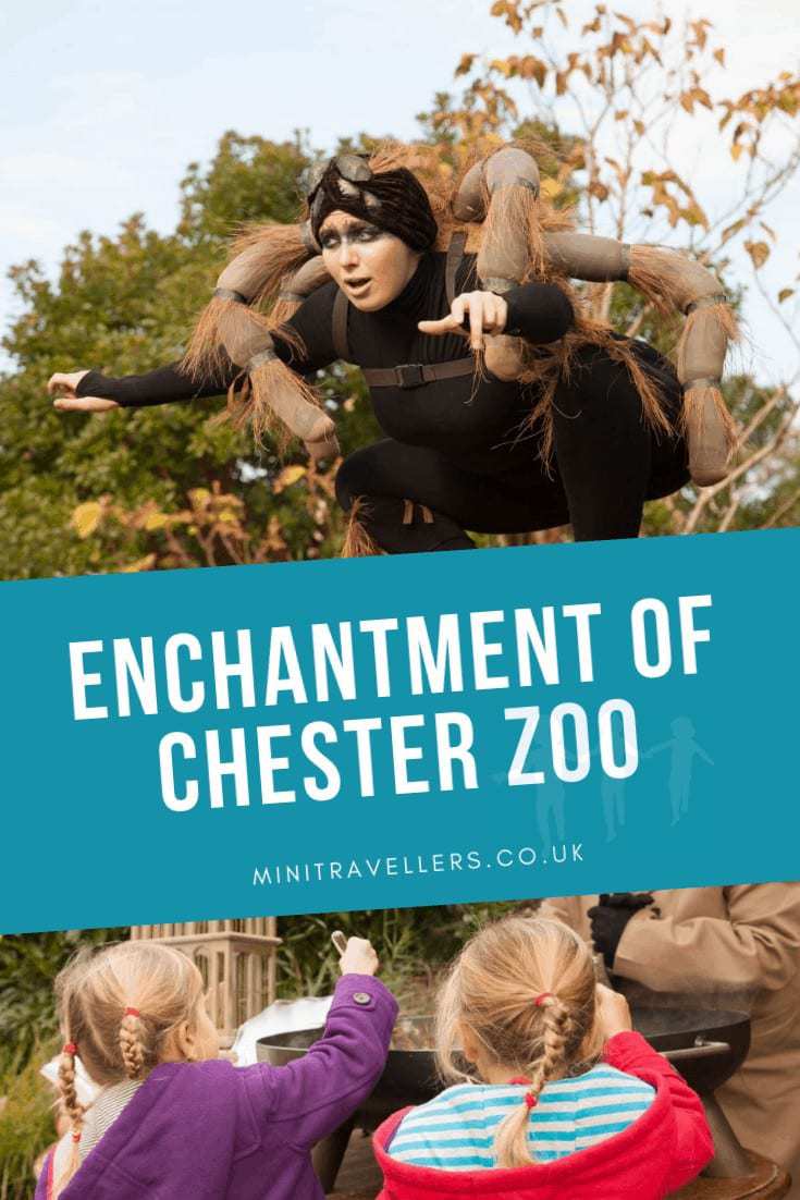 Enchantment Of Chester Zoo