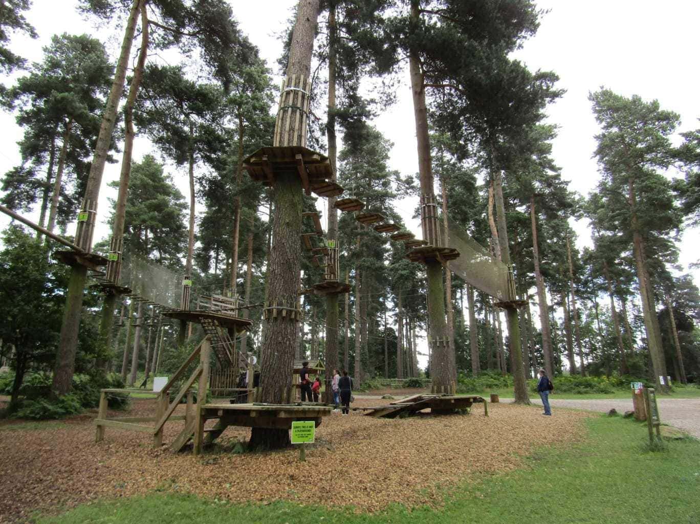 Go Ape Tree Top - Junior Course Reviewed www.minitravellers.co.uk