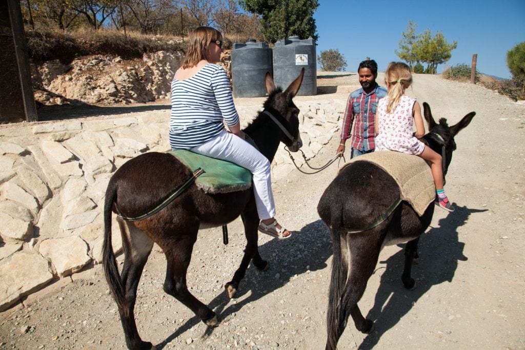 Donkey Safari at Apesia Hills Donkey Sanctuary Limassol Cyprus www.minitravellers.co.uk