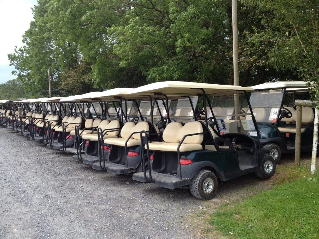 Hire a buggy for your Christmas at Bluestone National Park