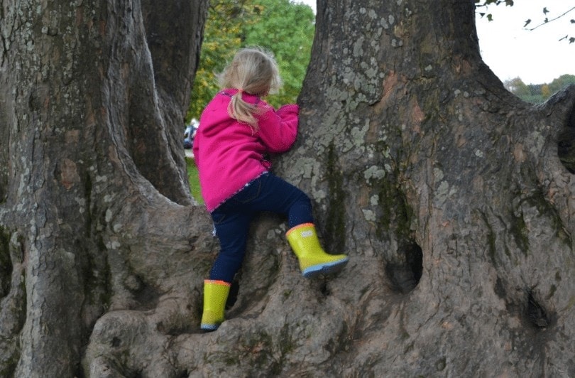 Child playing at Saltram's adventure playground, as featured in my top National Trust days out in Cornwall