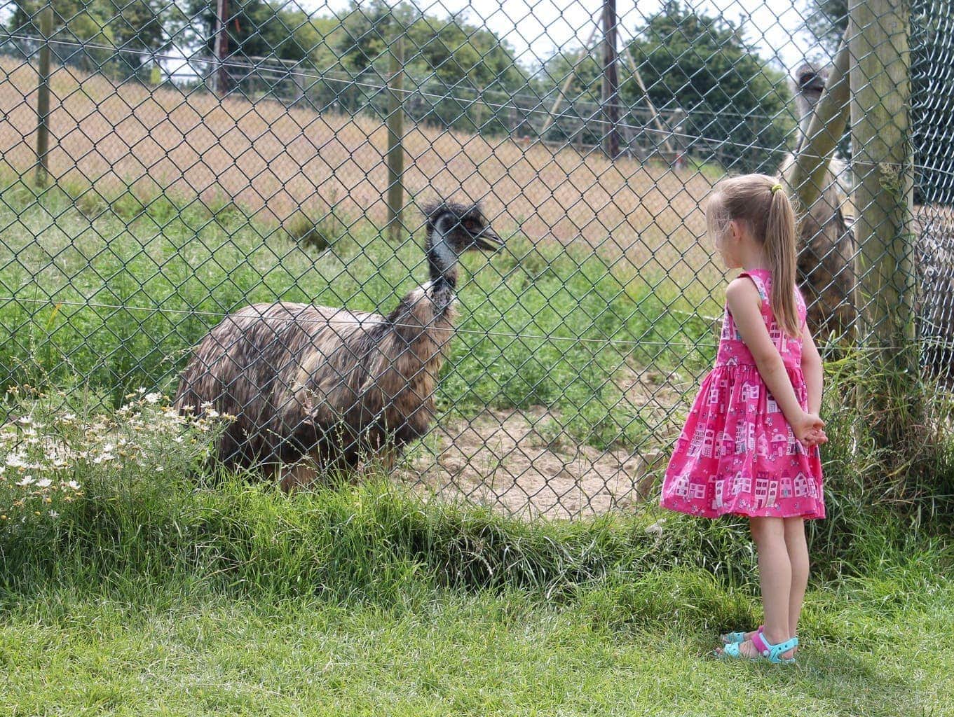 Noah's Ark Zoo Farm Review | Family Fun in Bristol www.minitravellers.co.uk