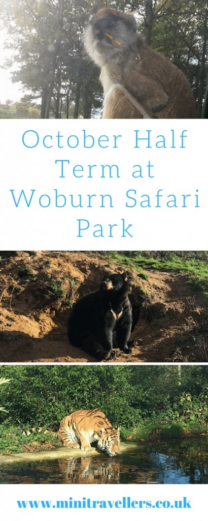 October Half Term at Woburn Safari Park