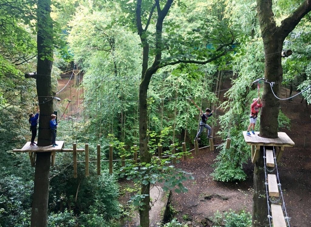 Treetop Trek Review - Is it a family adventure?