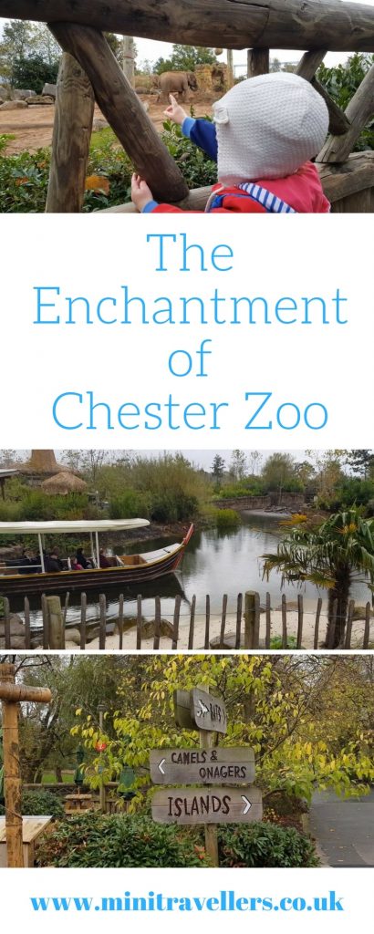 The Enchantment of Chester Zoo