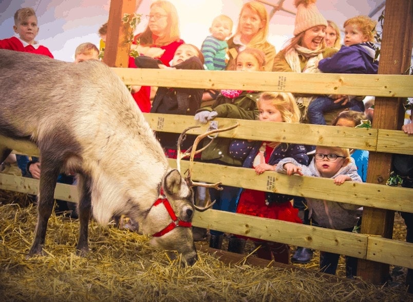 Queue-busting tips for visiting Santa at Willow’s Farm this Christmas www.minitravellers.co.uk