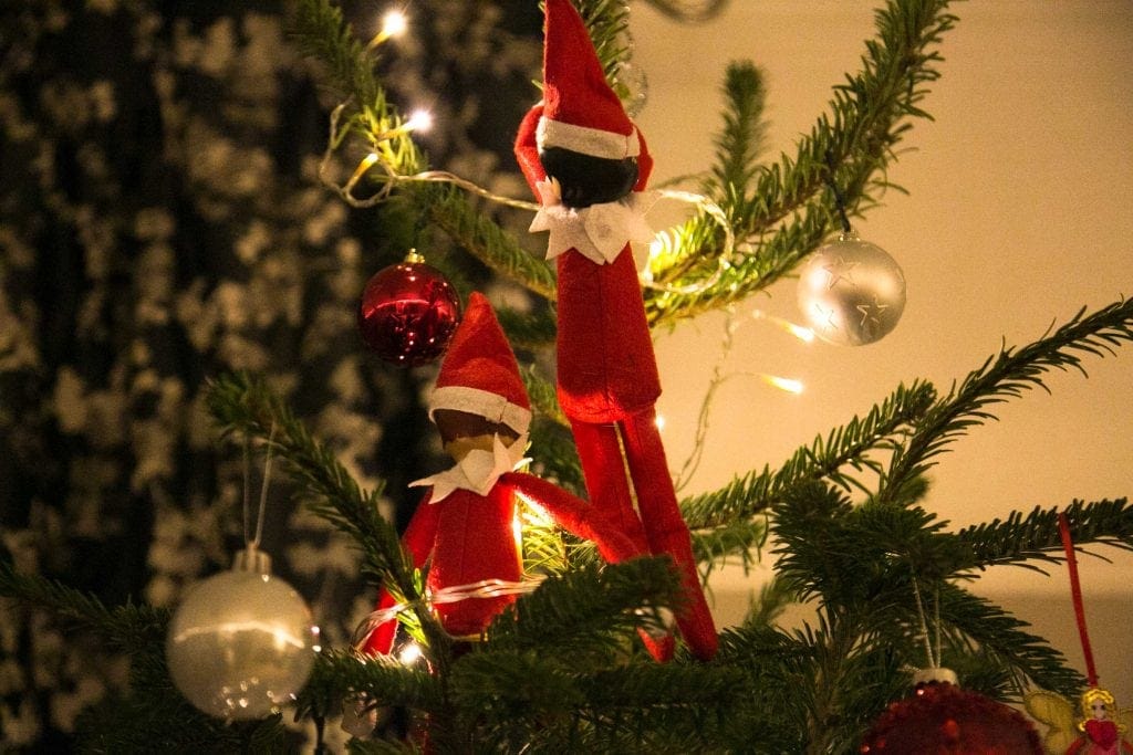 Elves hiding in the Christmas tree, ahead of a trip to Santa's Lapland for Christmas