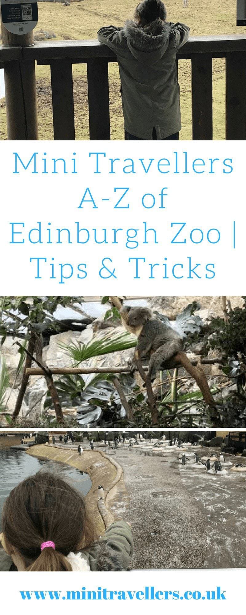 Mini Travellers A-Z of Edinburgh Zoo _ Tips & Tricks 
