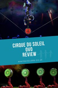 Cirque du Soleil Ovo Review