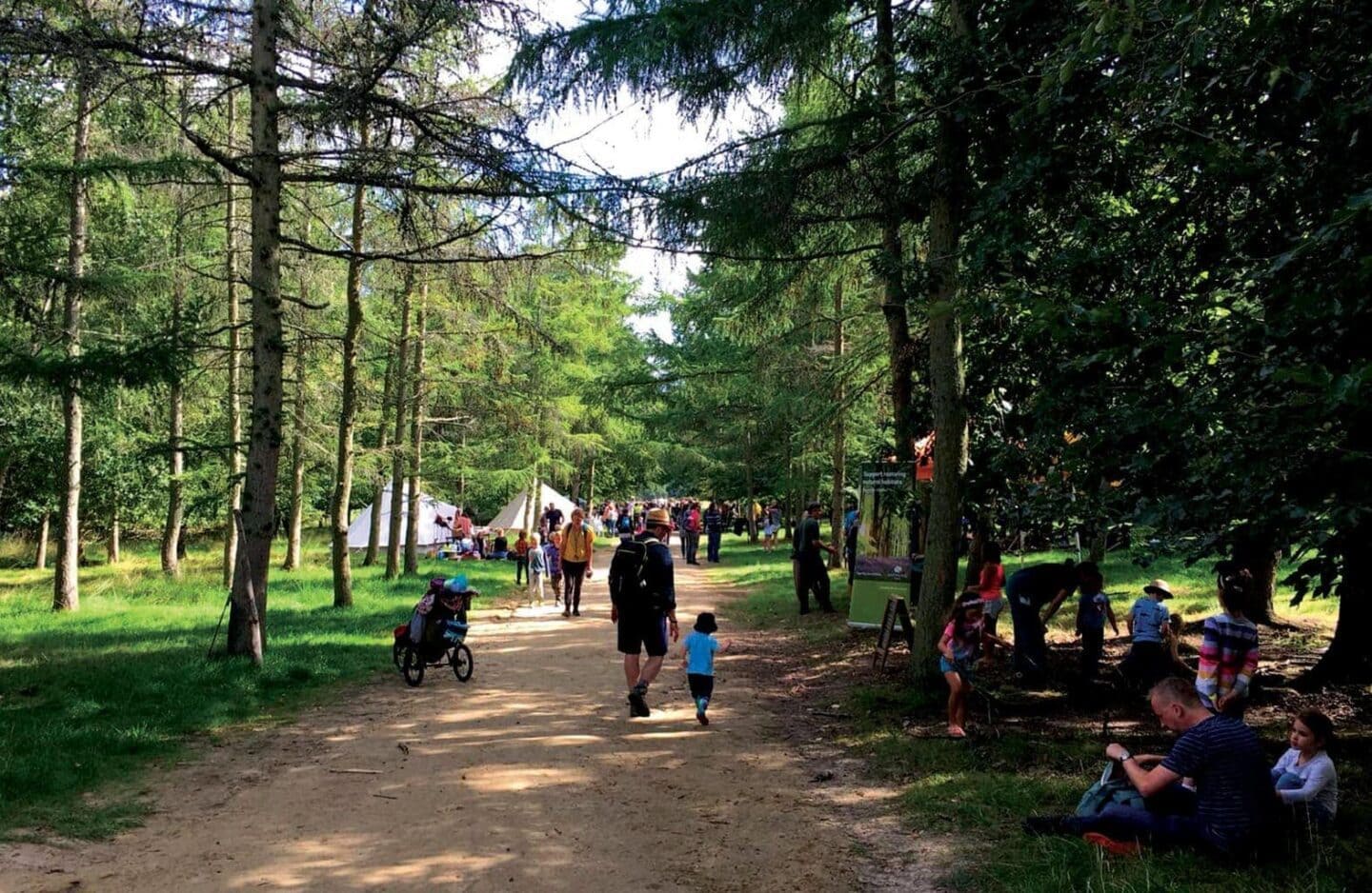 Into the Trees Festival | Family Friendly Festival