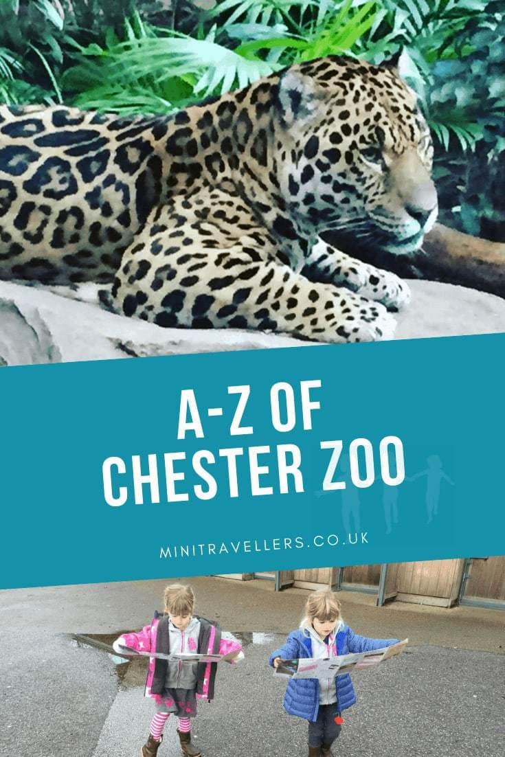 A-Z Of Chester Zoo