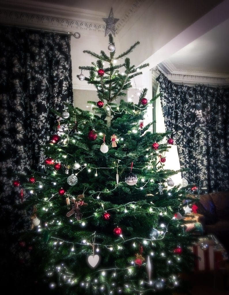 Oh Christmas Tree, Oh Christmas Tree....