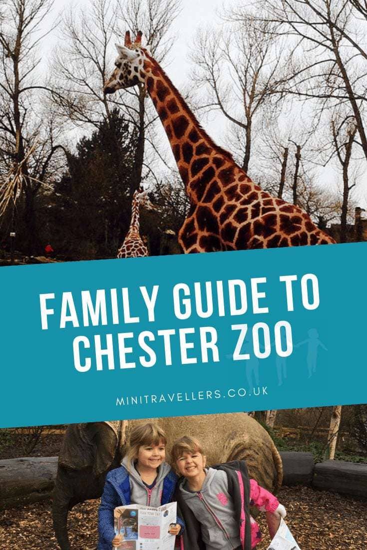 Family Guide To Chester Zoo