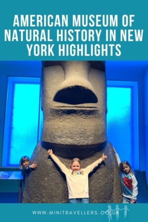 AMERICAN MUSEUM OF NATURAL HISTORY IN NEW YORK HIGHLIGHTS