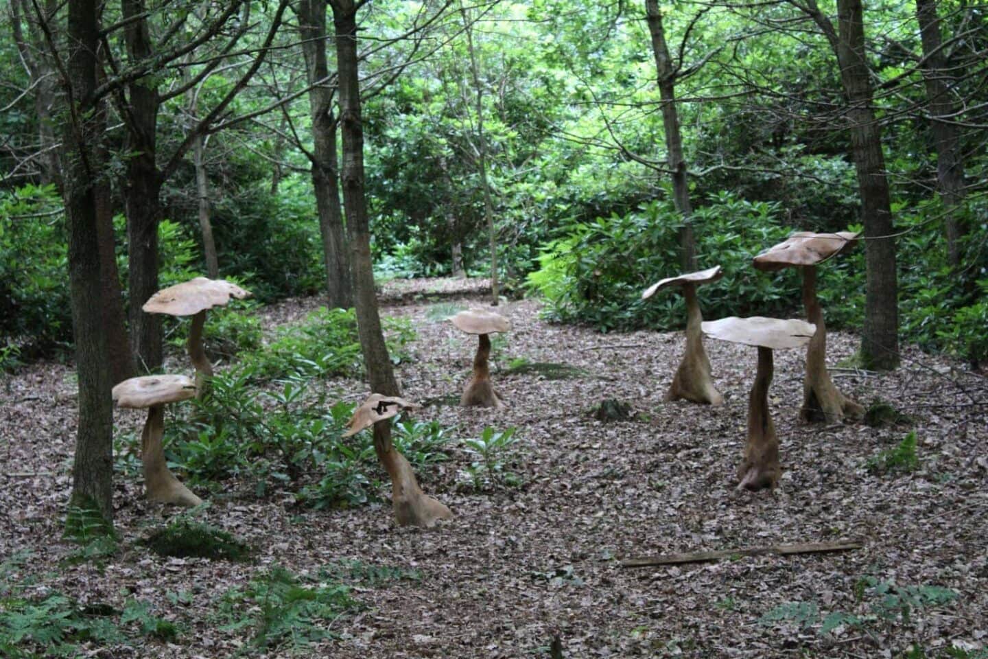 Review of Northwood Fairy Sanctuary North Yorkshire