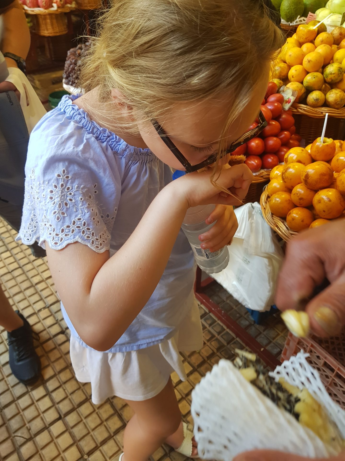 Why Maderia is an ideal all year round holiday destination by a 9 year old
