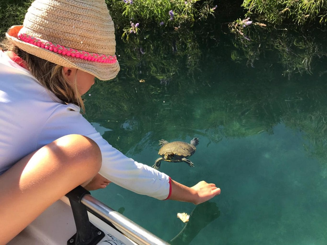Lake Kournas Turtles