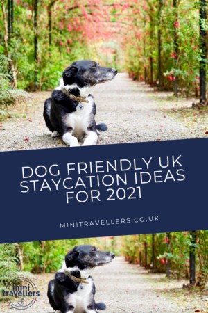 Dog friendly UK staycation ideas for 2021