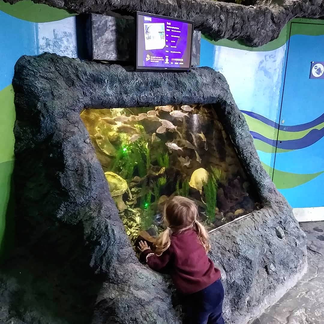 Review | SEA LIFE Loch Lomond Aquarium