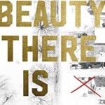 What Beauty There Is by Cory Anderson (Penguin Books)
