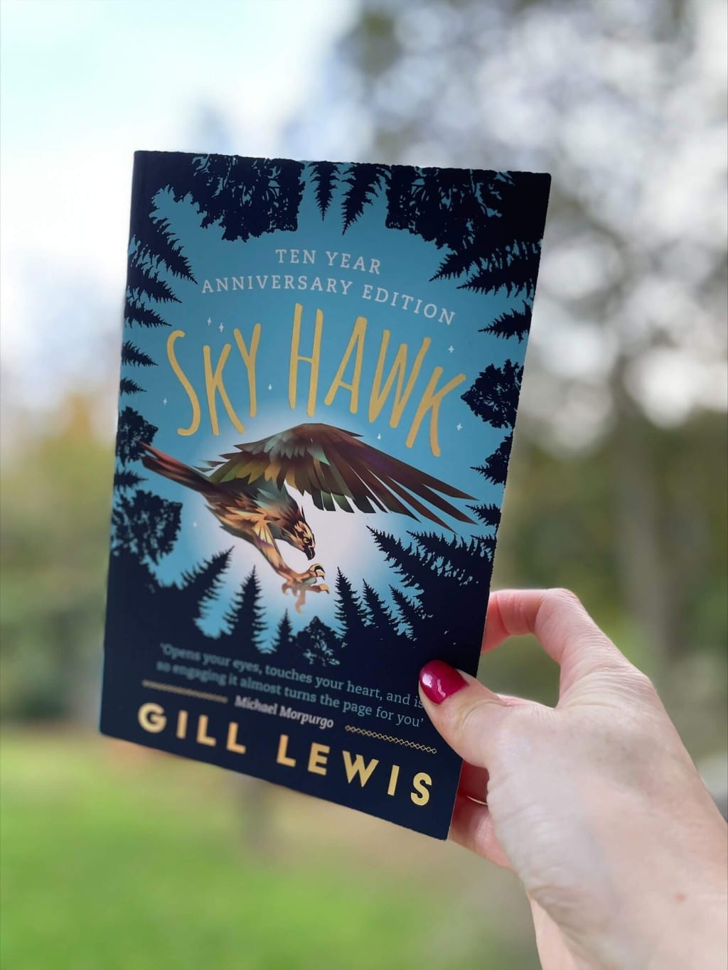 ky Hawk - Gill Lewis (author), Oxford University Press (publisher), recommended reading age: 10 plus