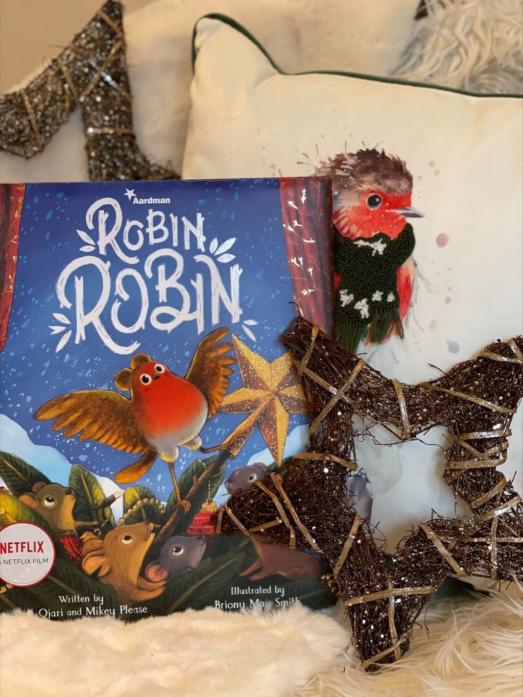 Robin Robin – Dan Ojari and Mikey Please (authors), Briony May Smith (illustrator), Two Hoots (pan Macmillan) (publisher)