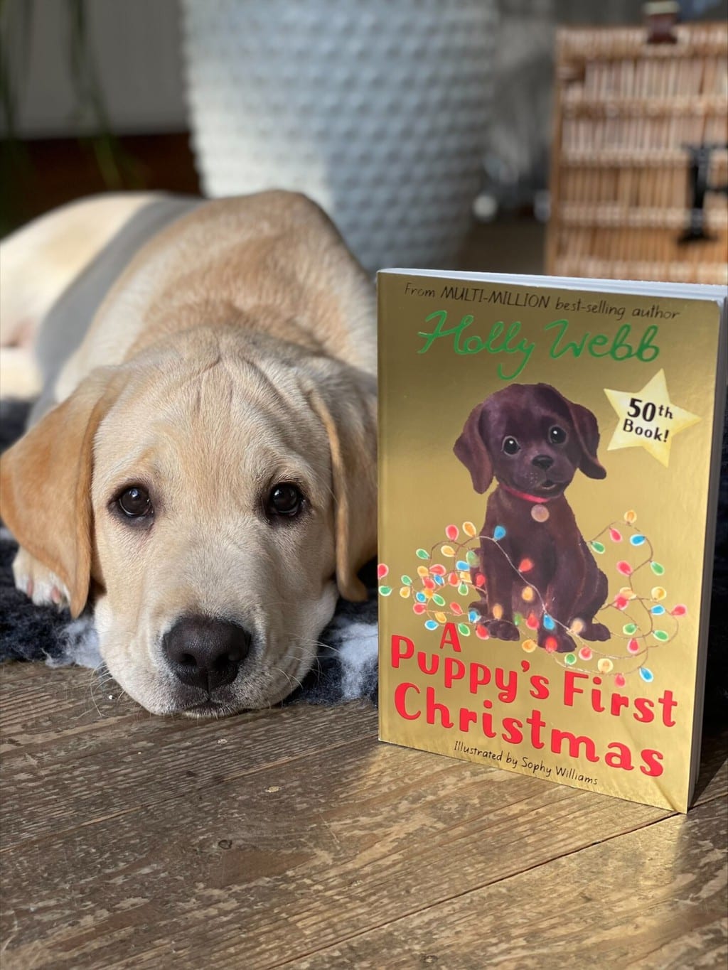 A Puppy’s First Christmas – Holly Webb (author), Sophy Williams (illustrator),Stripes Publishing Limited (Little Tiger) (publisher)