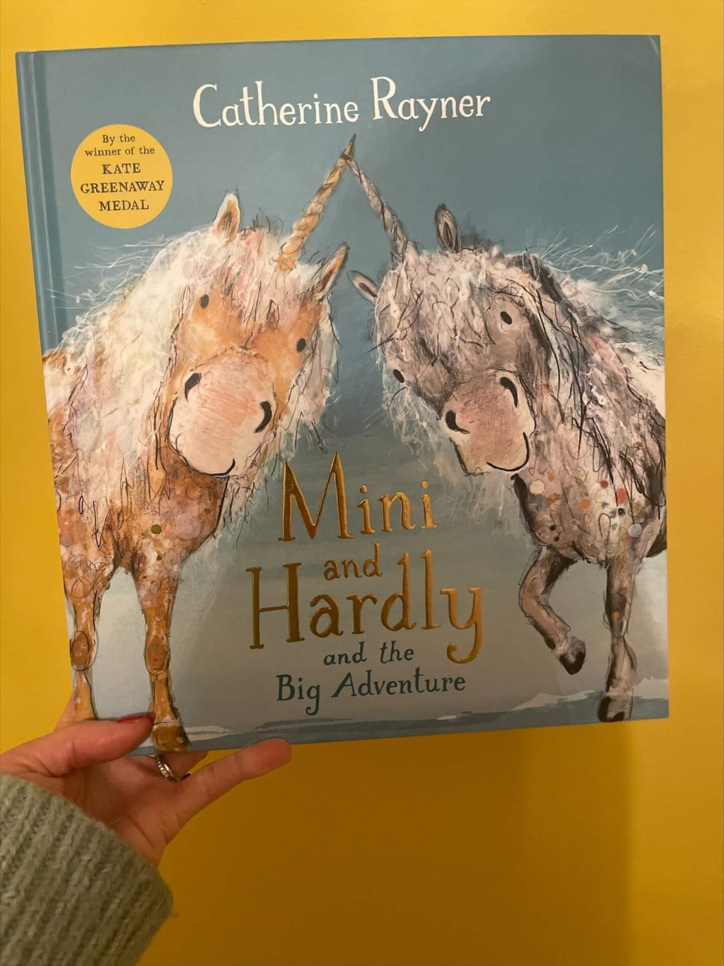 ni and Hardly and the Big Adventure – Catherine Rayner (author and illustrator), Macmillan Children’s Books (publisher)