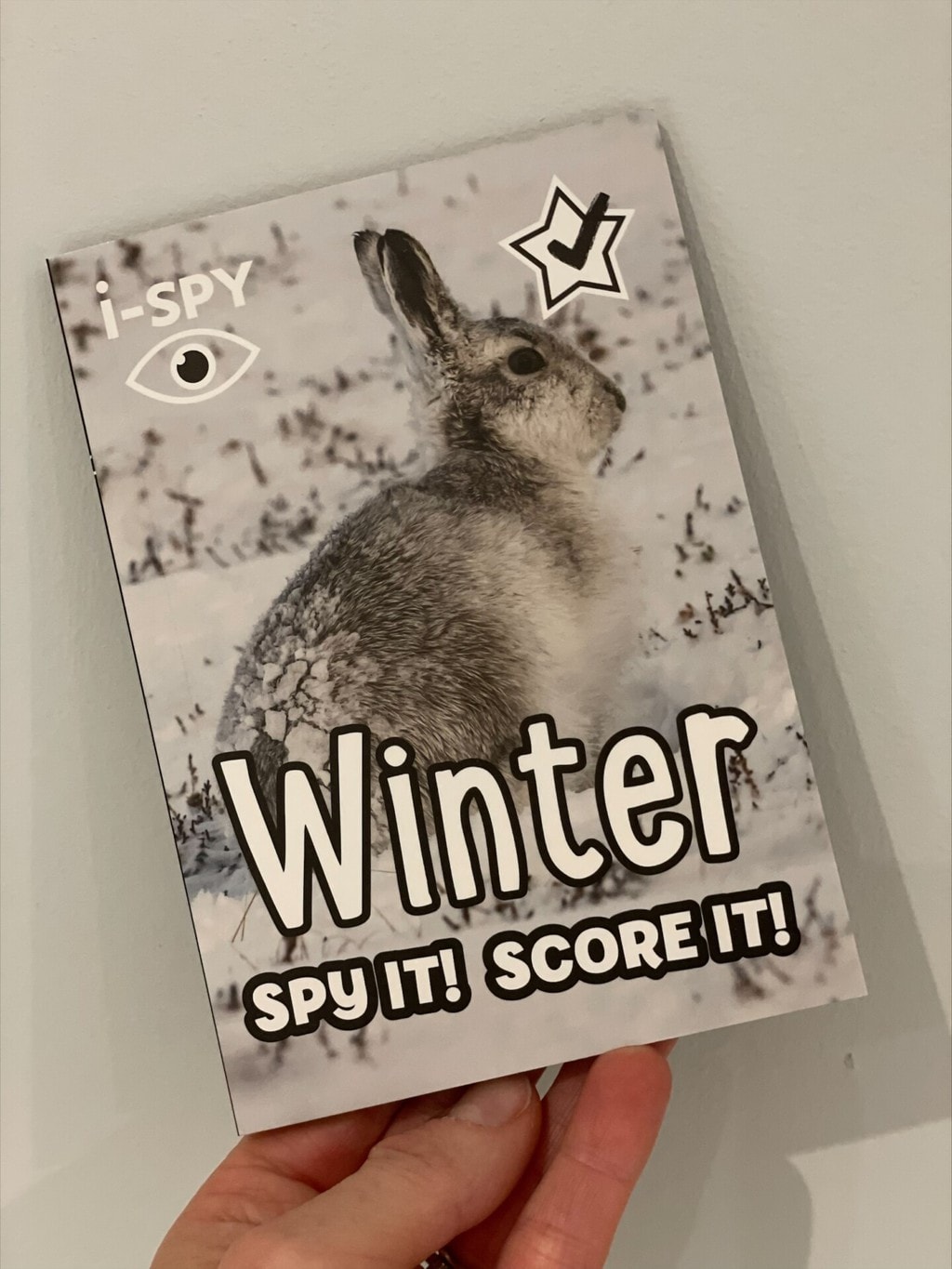 I-Spy Winter