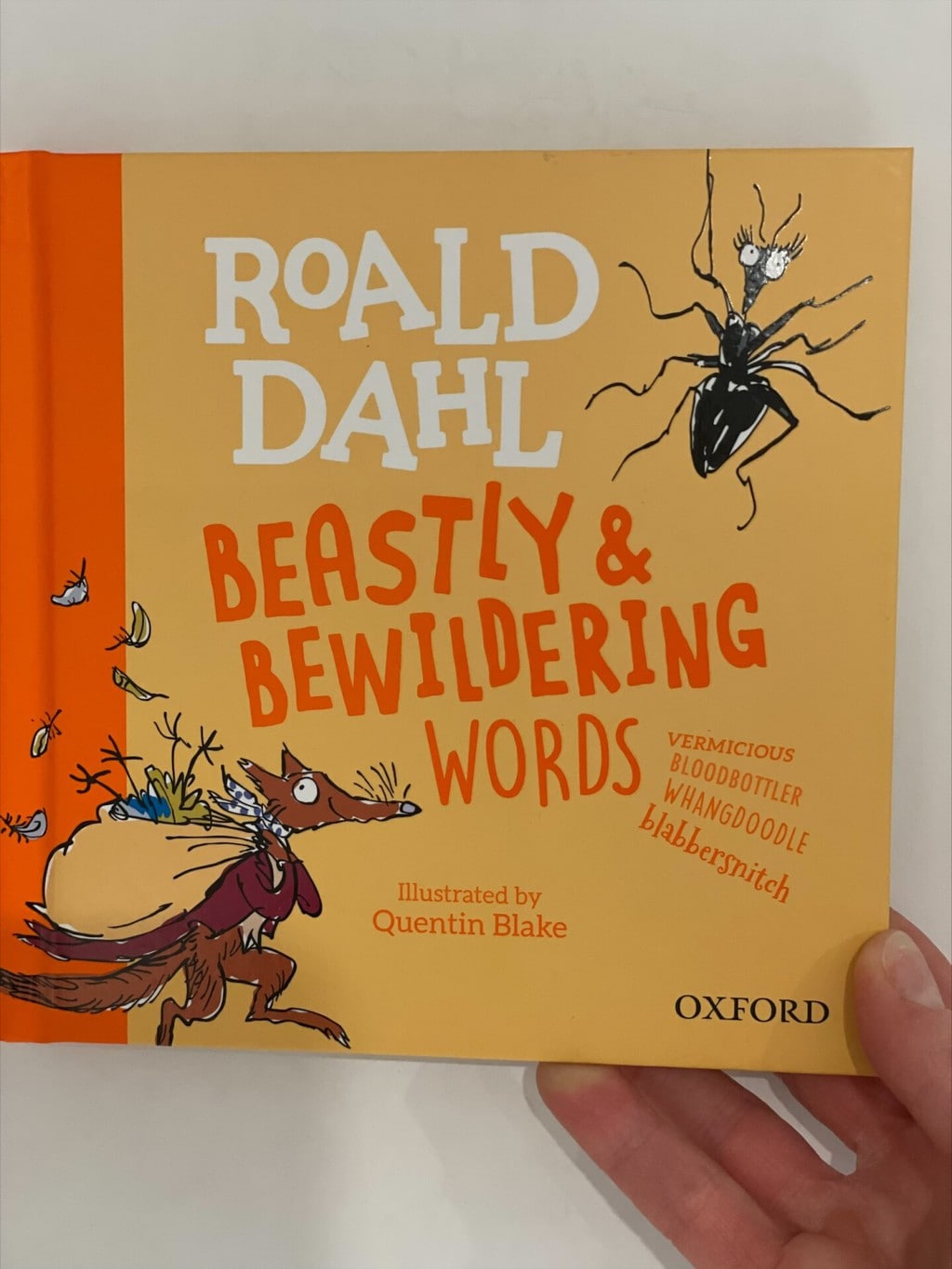 Roald Dahl Beastly & Bewildering Words