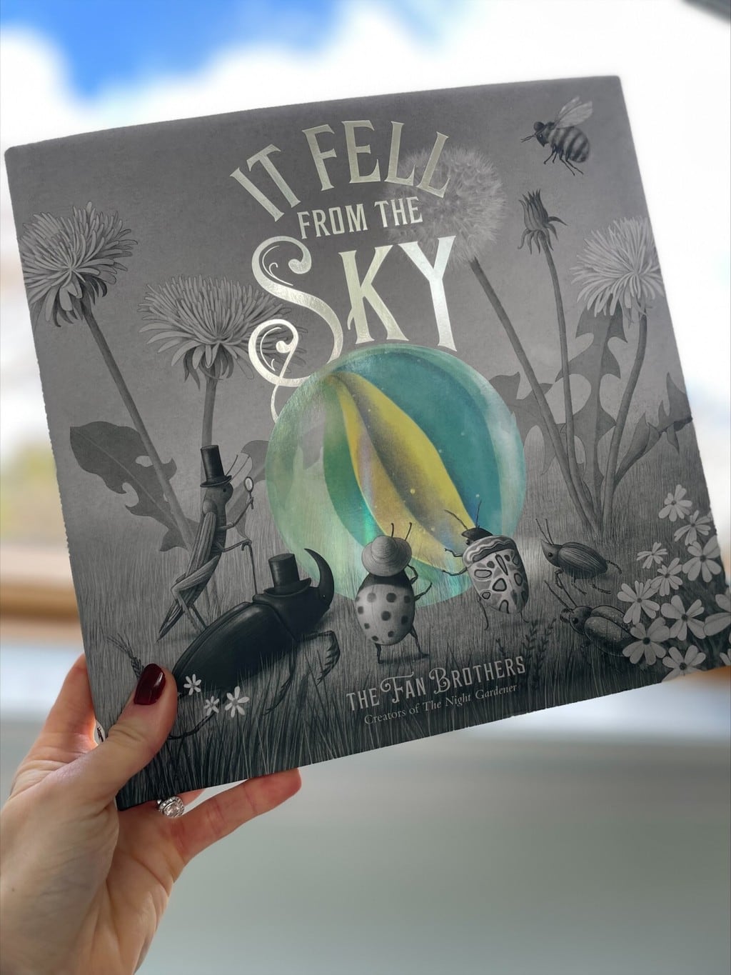 It Fell from the Sky – The Fan Brothers (authors), Frances Lincoln Children’s Books (imprint of Quarto Group) (publishers)
