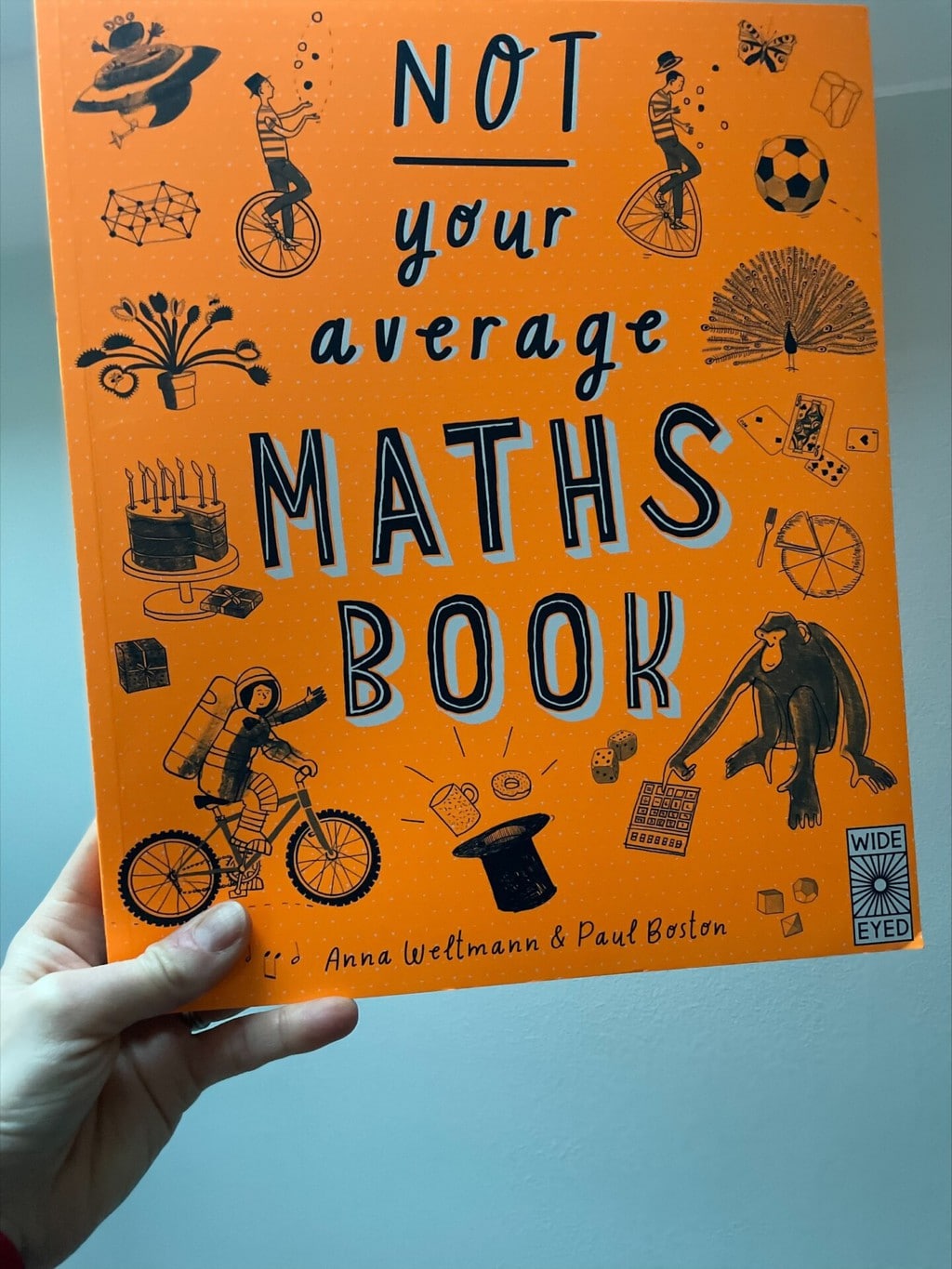 Not your Average Maths Book