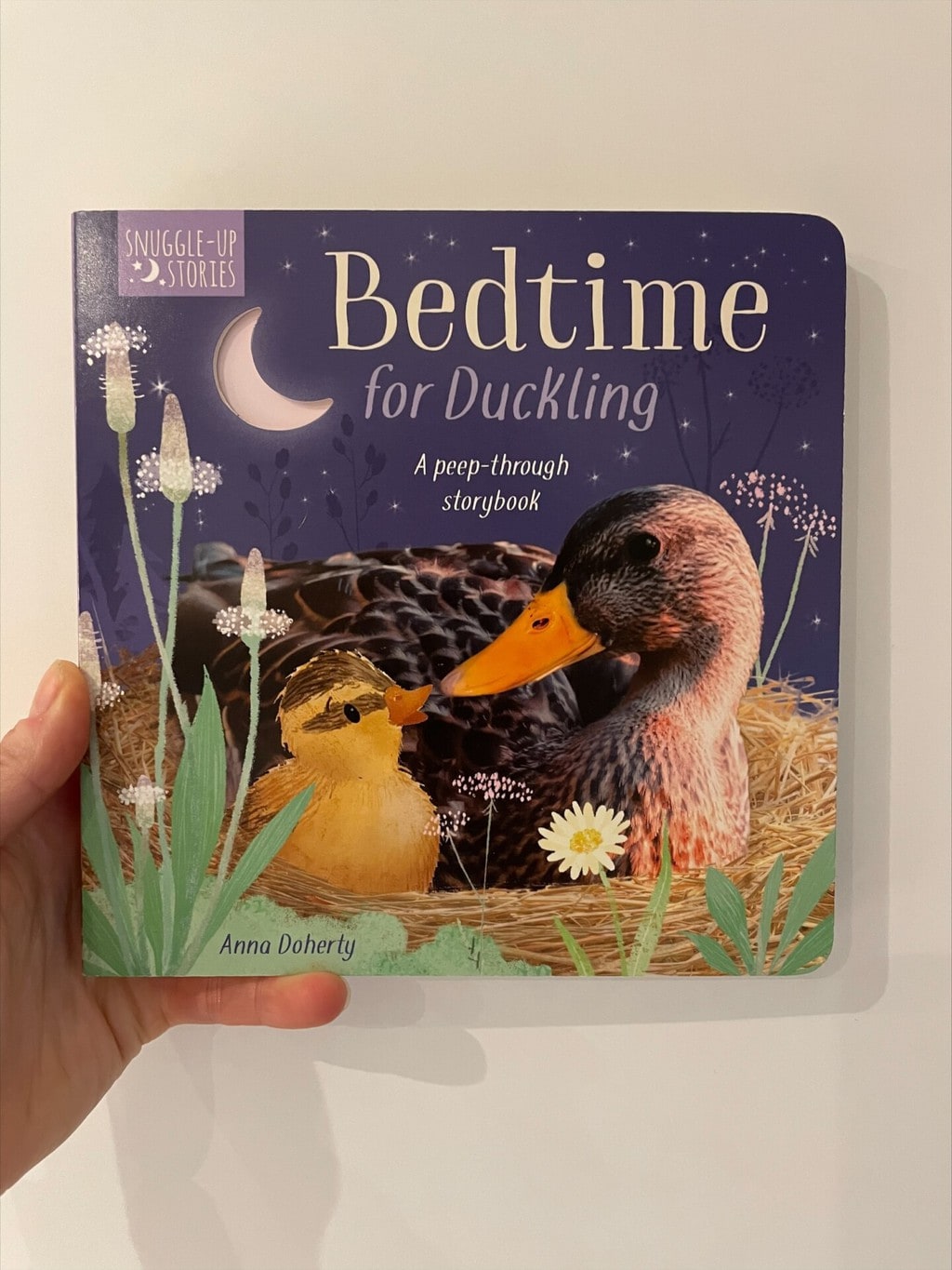 Bedtime for Duckling 