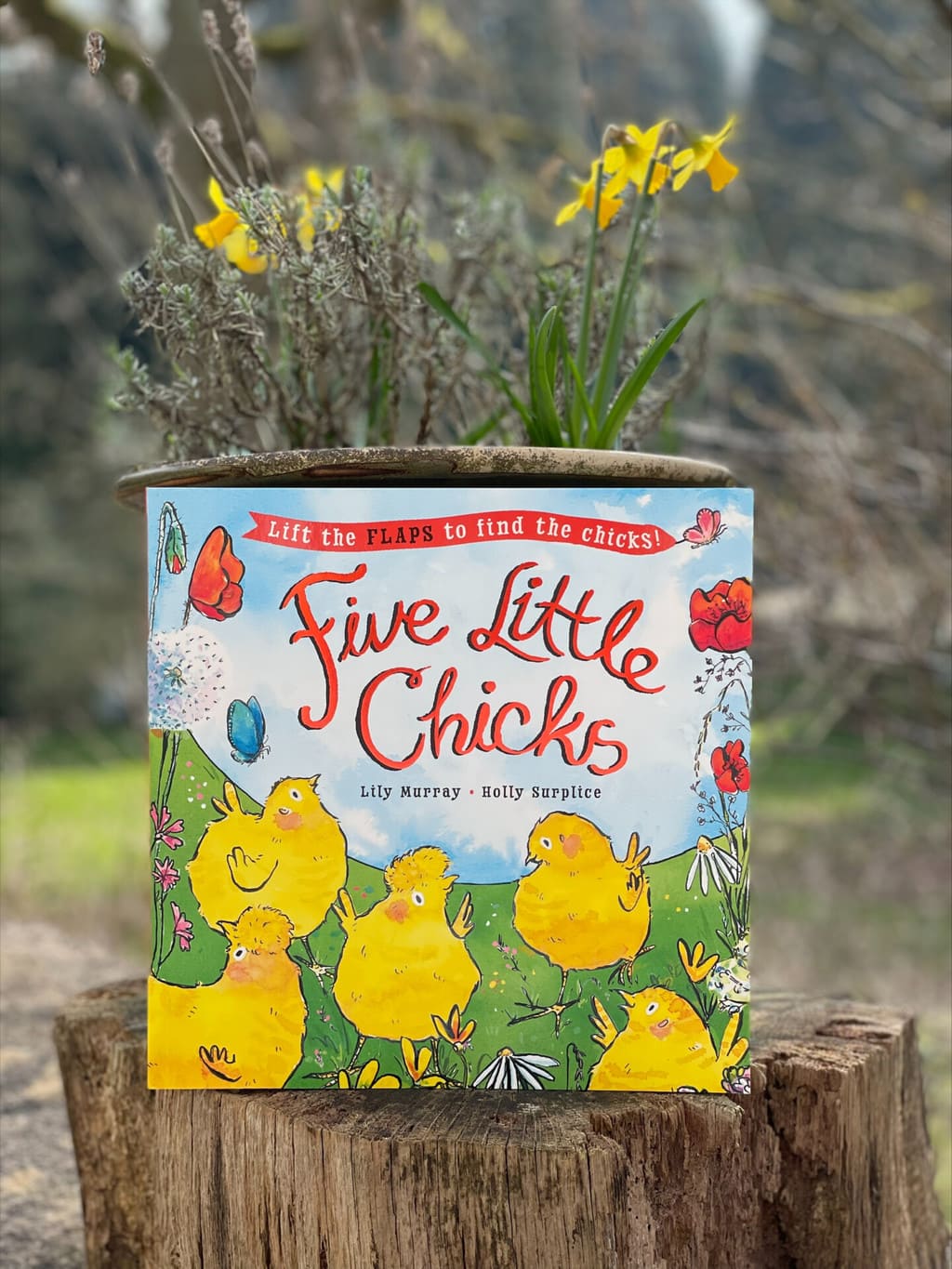 Five Little Chicks – Lily Murray (author), Holly Surplice (illustrator), Templar Books (imprint of Bonnier Books) (publisher)