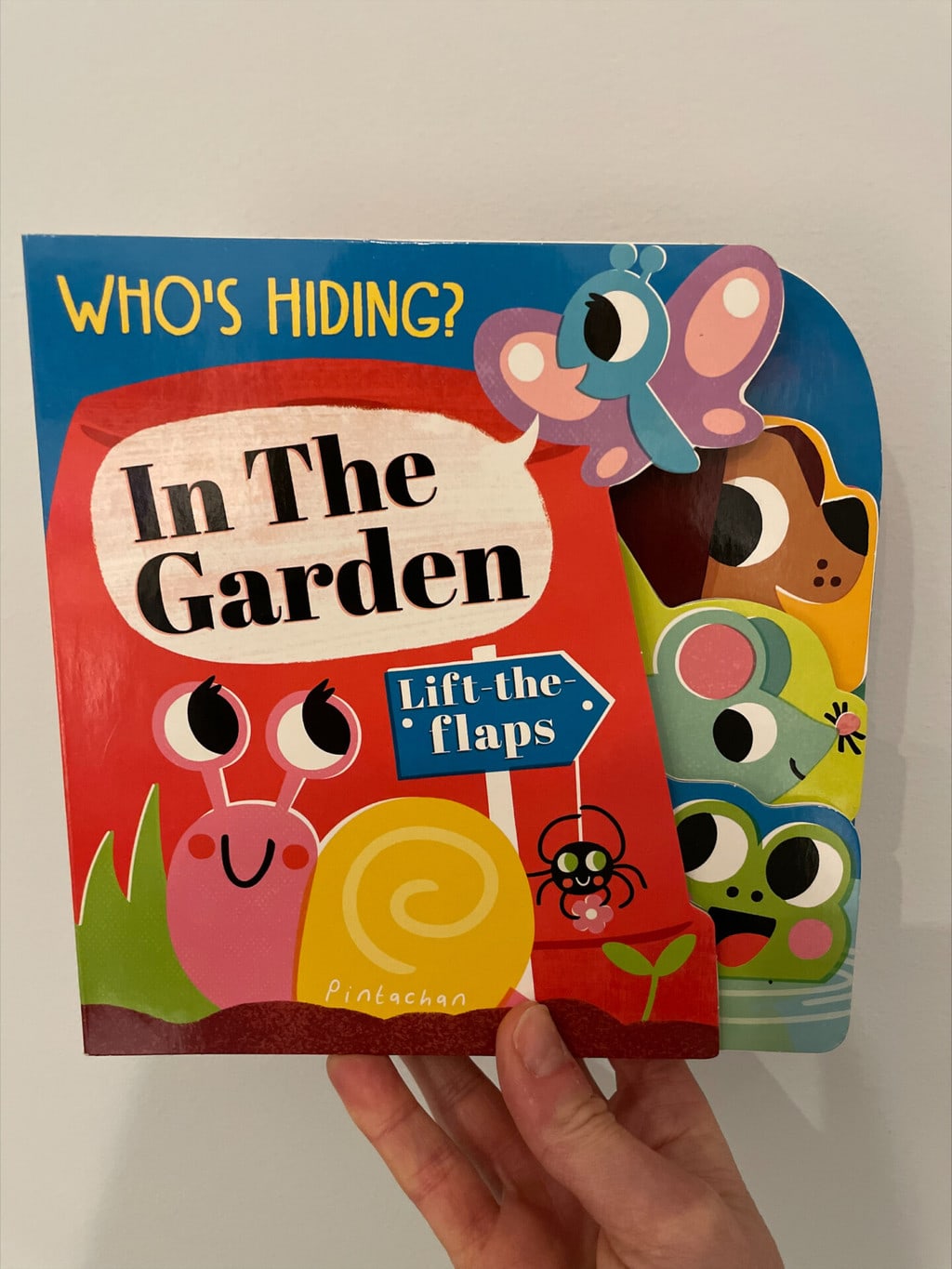 Who’s Hiding? In the Garden – Amelia Hepworth (author), Pintachan (illustrator), Little Tiger Press Ltd (publisher)