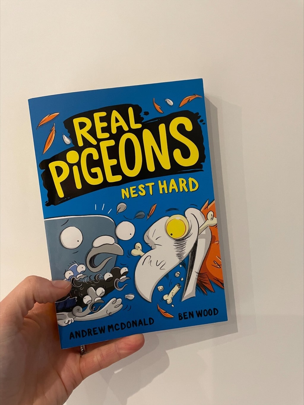 Real Pigeons Nest Hard – Andrew McDonald (author), Ben Wood (illustrator), Farshore (imprint of HarperCollins) (publisher)