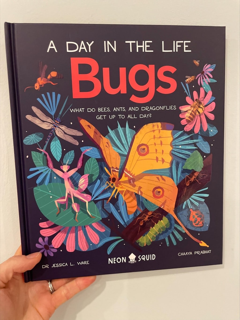 A Day in the Life of Bugs – Dr Jessica L. Ware