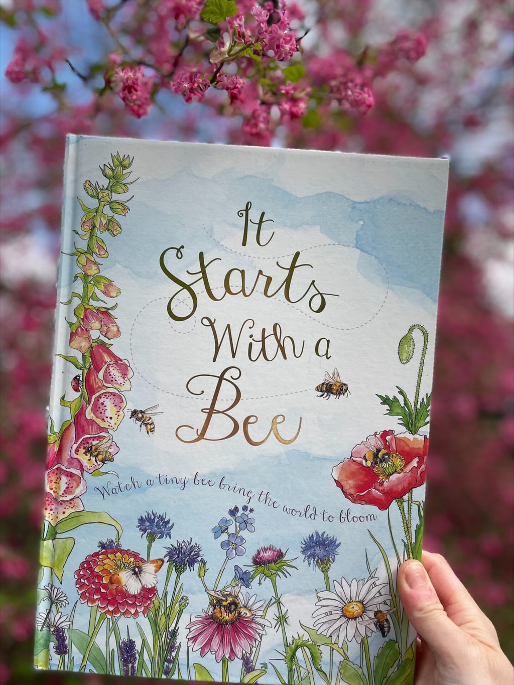 It Starts with a Bee – Aimee Gallagher (author), Jennie Webber (illustrator), QED Publishing (imprint of Quarto) (publisher)
