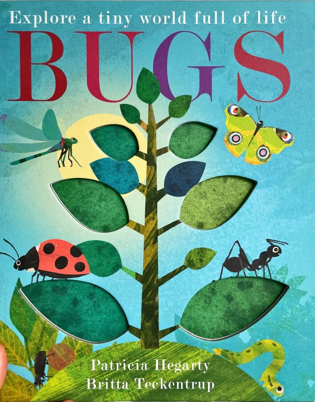 Bugs – Patricia Hegarty(author)