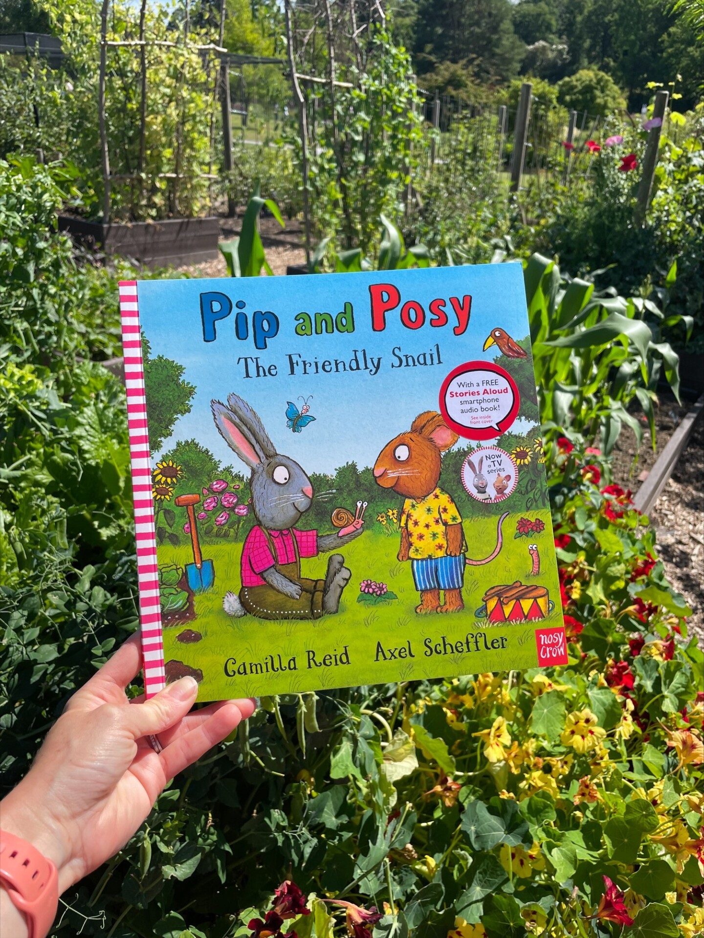 Pip and Posy: The Friendly Snail 