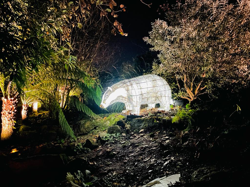 Heligan Night Garden | Review