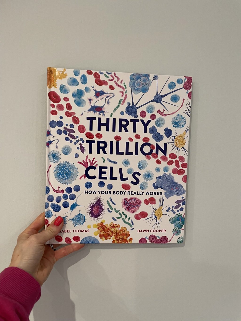 Thirty Trillion Cells  - Isabel Thomas (
