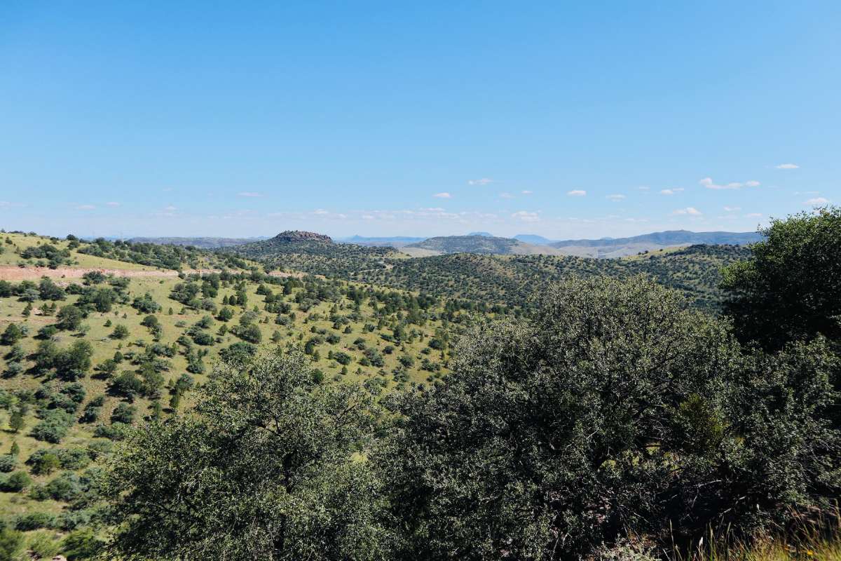 Texas State Parks To Put On Your Bucket List, Davis Mountains State Park