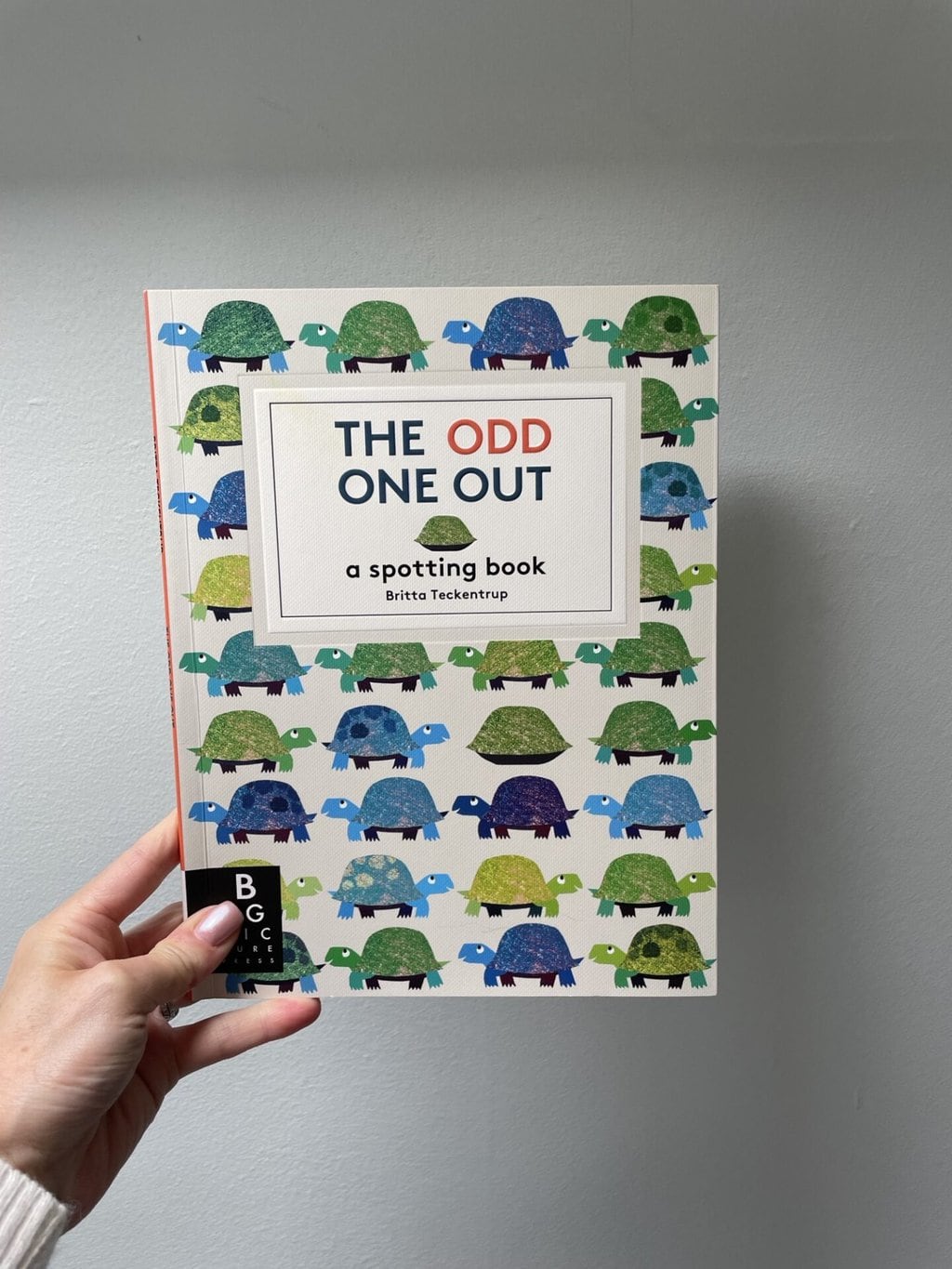 The Odd One Out - a spotting book