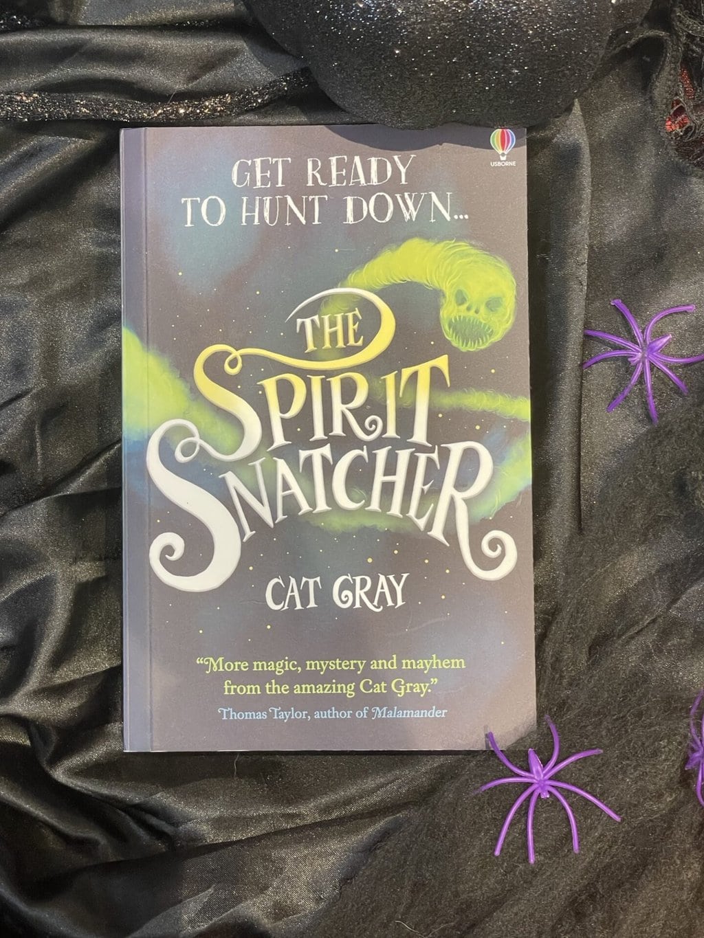 The Spirit Catcher - Cat Gray 