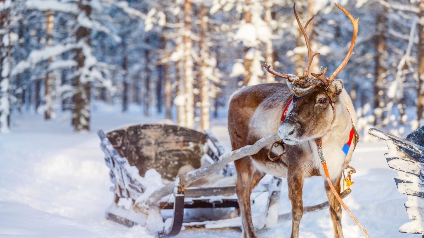 Lapland with kids